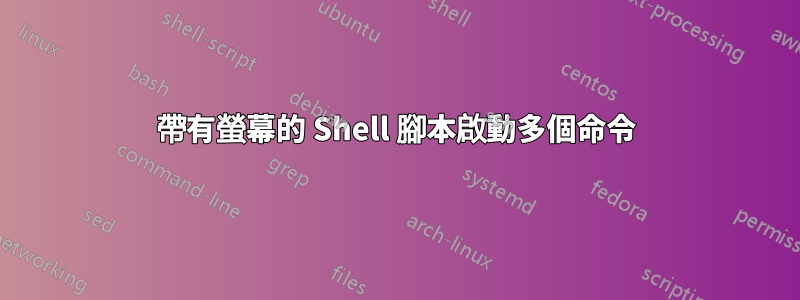 帶有螢幕的 Shell 腳本啟動多個命令