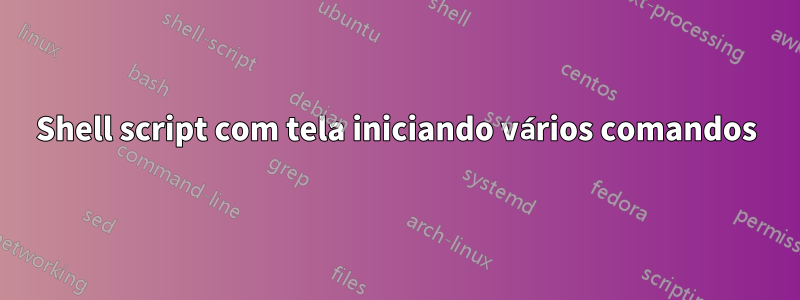 Shell script com tela iniciando vários comandos