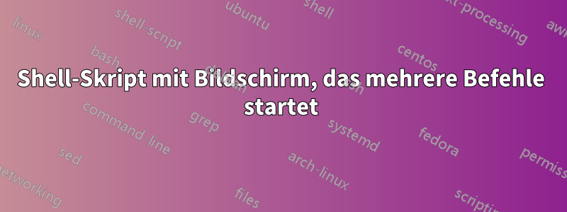 Shell-Skript mit Bildschirm, das mehrere Befehle startet