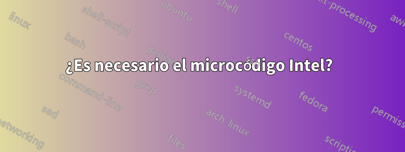 ¿Es necesario el microcódigo Intel? 