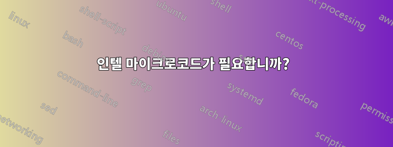 인텔 마이크로코드가 필요합니까? 