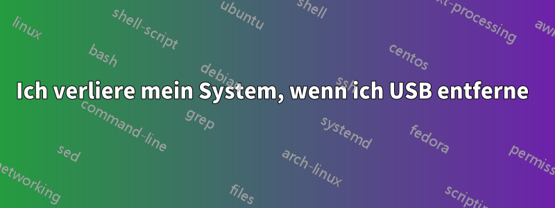 Ich verliere mein System, wenn ich USB entferne 