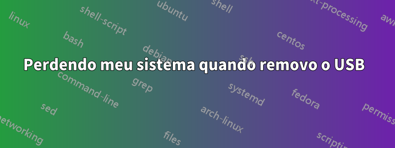 Perdendo meu sistema quando removo o USB 