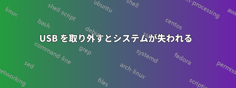 USB を取り外すとシステムが失われる 