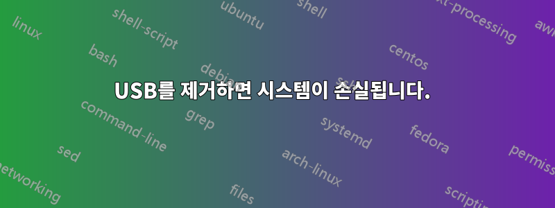 USB를 제거하면 시스템이 손실됩니다. 