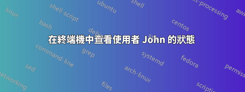 在終端機中查看使用者 John 的狀態