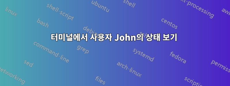 터미널에서 사용자 John의 상태 보기