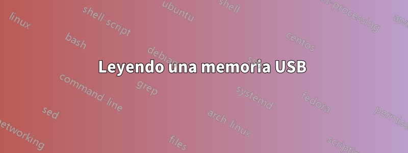 Leyendo una memoria USB