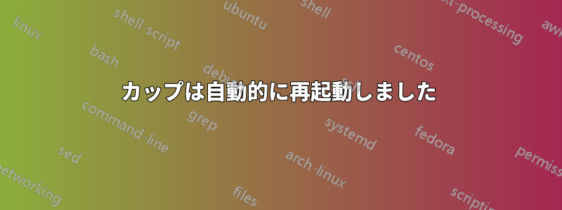 カップは自動的に再起動しました