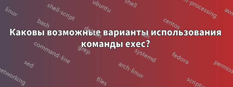 Каковы возможные варианты использования команды exec?