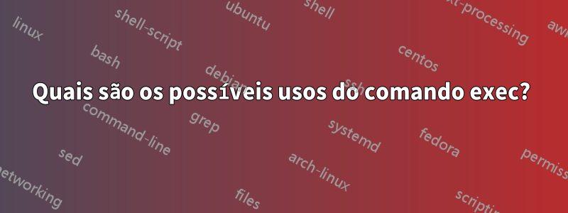 Quais são os possíveis usos do comando exec?