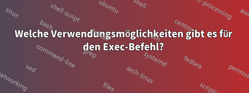 Welche Verwendungsmöglichkeiten gibt es für den Exec-Befehl?