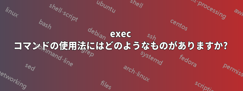 exec コマンドの使用法にはどのようなものがありますか?