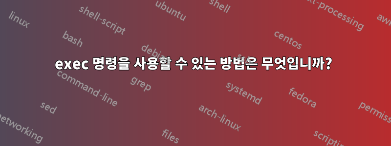 exec 명령을 사용할 수 있는 방법은 무엇입니까?
