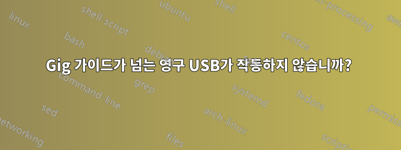 4Gig 가이드가 넘는 영구 USB가 작동하지 않습니까?