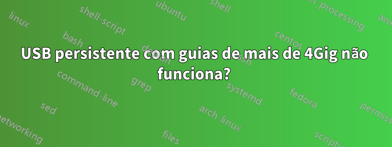 USB persistente com guias de mais de 4Gig não funciona?