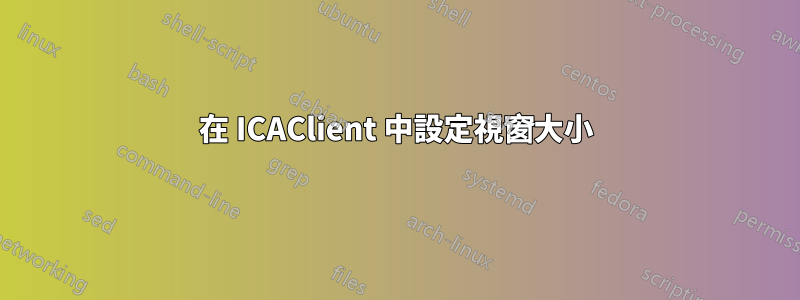 在 ICAClient 中設定視窗大小