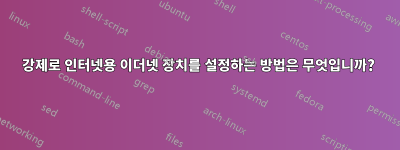 강제로 인터넷용 이더넷 장치를 설정하는 방법은 무엇입니까?