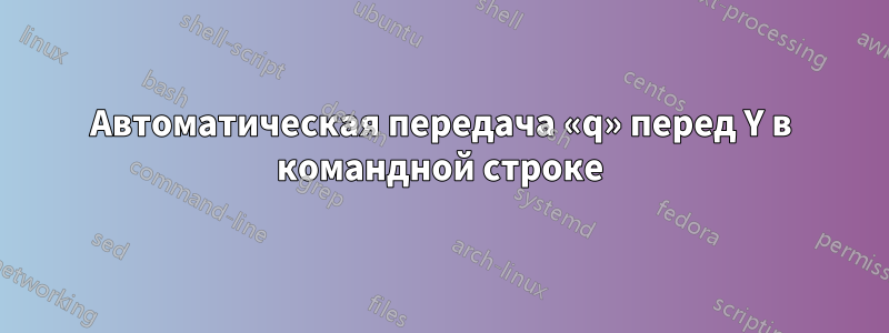 Автоматическая передача «q» перед Y в командной строке