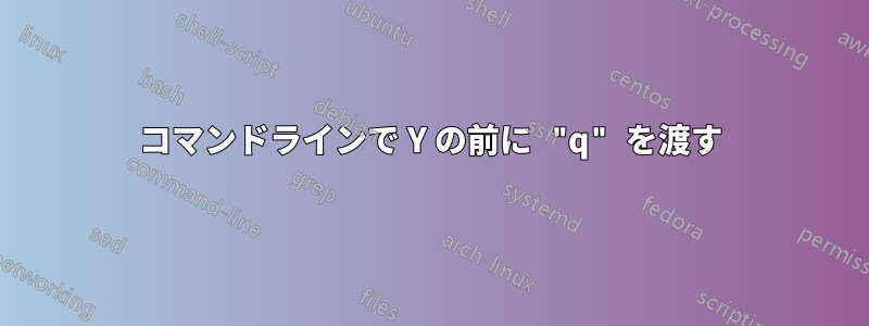 コマンドラインで Y の前に "q" を渡す