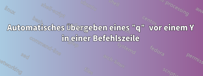 Automatisches Übergeben eines "q" vor einem Y in einer Befehlszeile