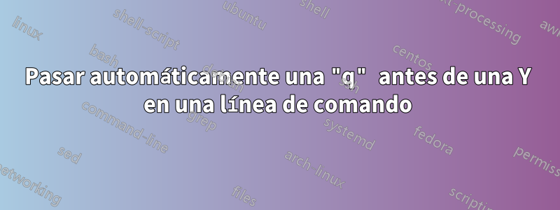 Pasar automáticamente una "q" antes de una Y en una línea de comando