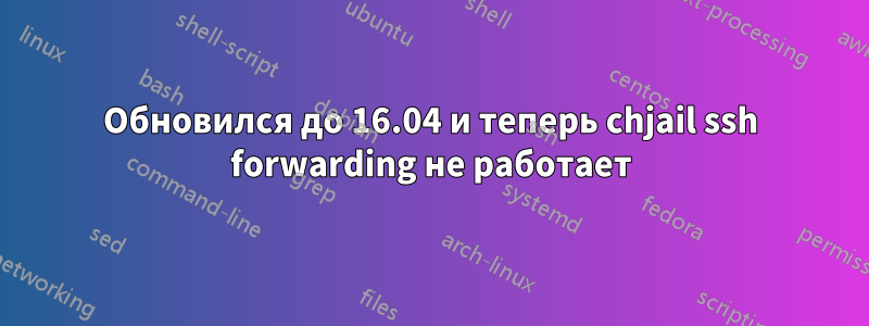 Обновился до 16.04 и теперь chjail ssh forwarding не работает