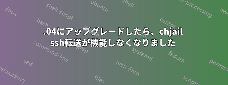 16.04にアップグレードしたら、chjail ssh転送が機能しなくなりました