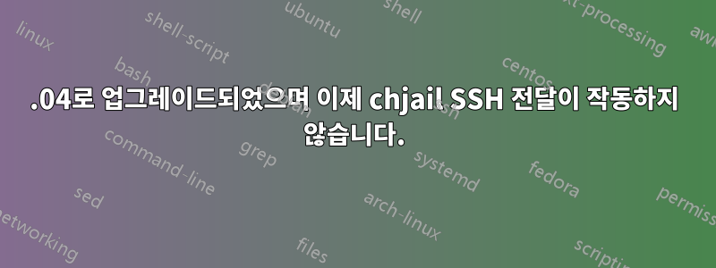 16.04로 업그레이드되었으며 이제 chjail SSH 전달이 작동하지 않습니다.