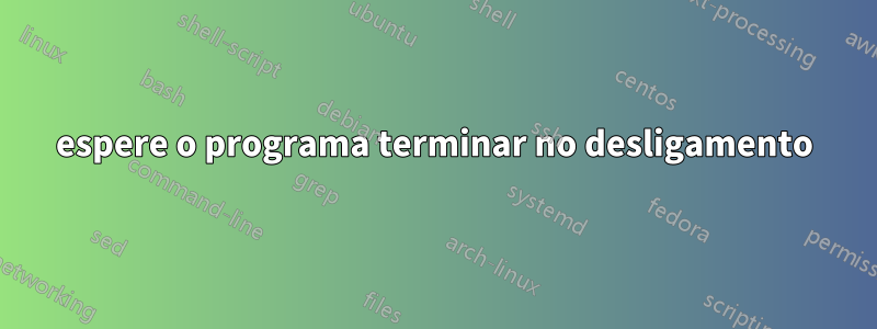 espere o programa terminar no desligamento