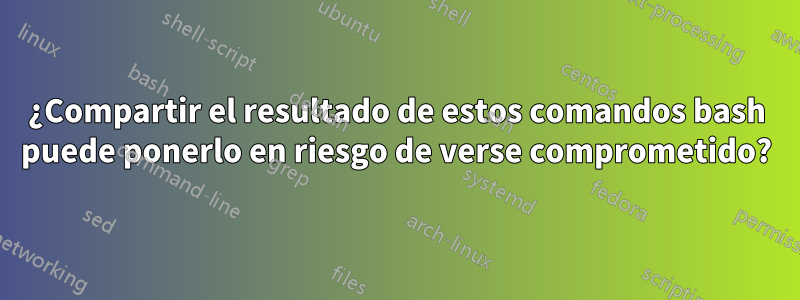 ¿Compartir el resultado de estos comandos bash puede ponerlo en riesgo de verse comprometido?