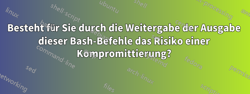 Besteht für Sie durch die Weitergabe der Ausgabe dieser Bash-Befehle das Risiko einer Kompromittierung?