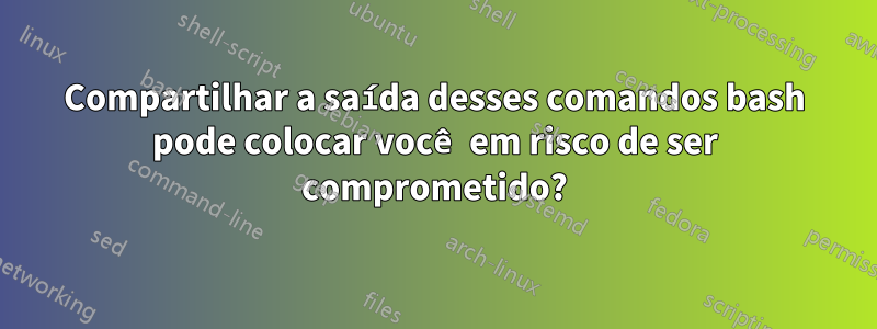 Compartilhar a saída desses comandos bash pode colocar você em risco de ser comprometido?