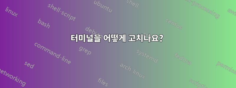 터미널을 어떻게 고치나요?