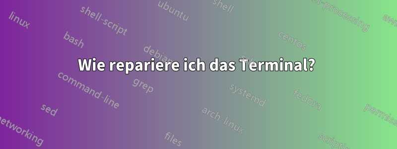 Wie repariere ich das Terminal?