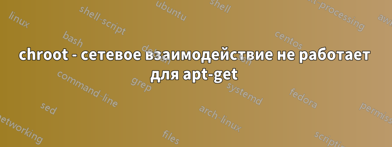 chroot - сетевое взаимодействие не работает для apt-get