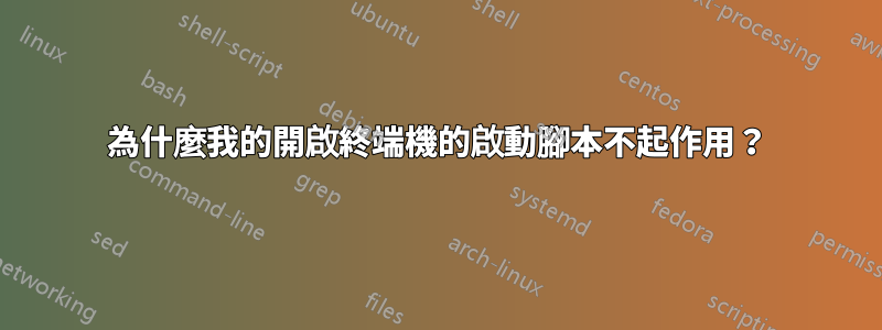 為什麼我的開啟終端機的啟動腳本不起作用？