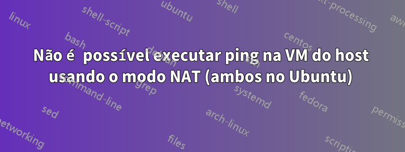 Não é possível executar ping na VM do host usando o modo NAT (ambos no Ubuntu)