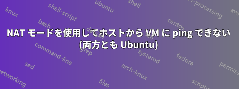 NAT モードを使用してホストから VM に ping できない (両方とも Ubuntu)