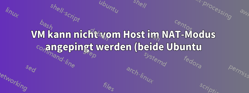 VM kann nicht vom Host im NAT-Modus angepingt werden (beide Ubuntu)