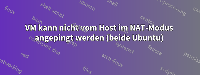 VM kann nicht vom Host im NAT-Modus angepingt werden (beide Ubuntu)