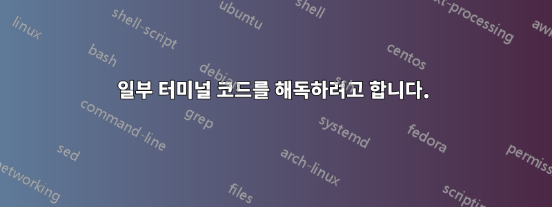 일부 터미널 코드를 해독하려고 합니다.