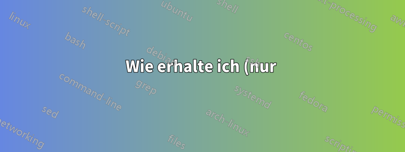 Wie erhalte ich (nur) den Benutzernamen von Apache?