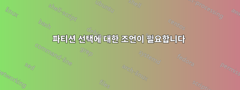 파티션 선택에 대한 조언이 필요합니다