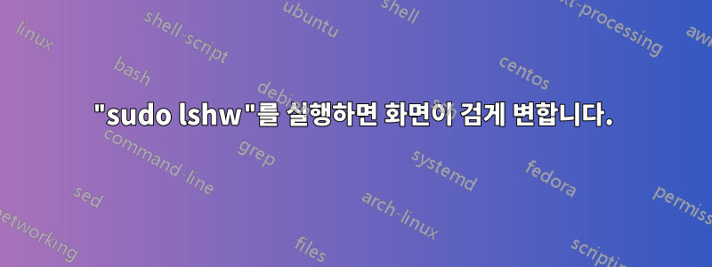 "sudo lshw"를 실행하면 화면이 검게 변합니다.