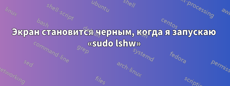 Экран становится черным, когда я запускаю «sudo lshw»