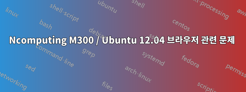 Ncomputing M300 / Ubuntu 12.04 브라우저 관련 문제