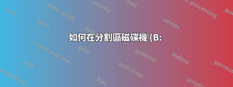 如何在分割區磁碟機 (B:) 上安裝 Ubuntu?