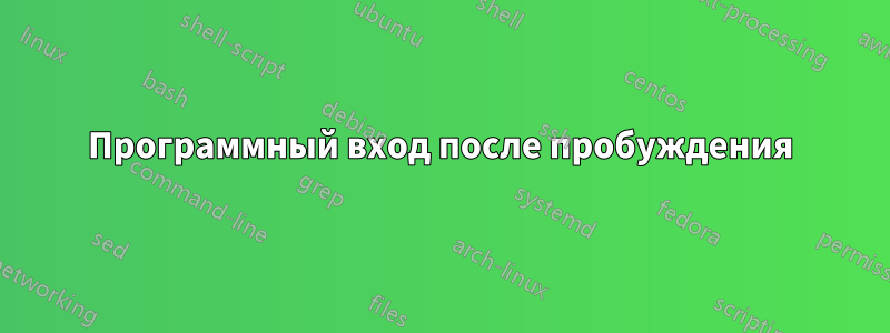 Программный вход после пробуждения