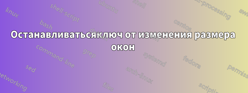 Останавливатьсяключ от изменения размера окон